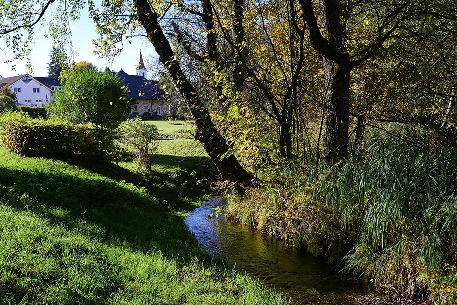 Isny Naturschutzgebiet Schächele
