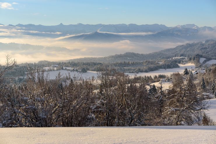 Winterlandschaft