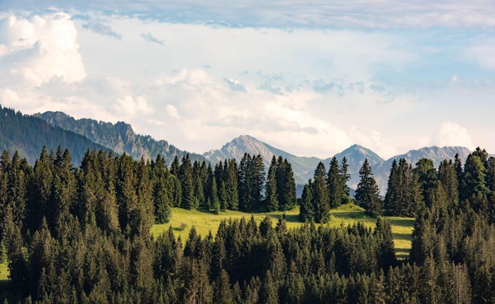 Sorgschrofen