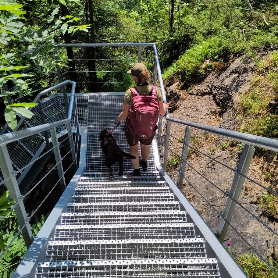 Vom Hündlekopf zu den Buchenegger Wasserfällen