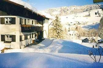 Bild winter