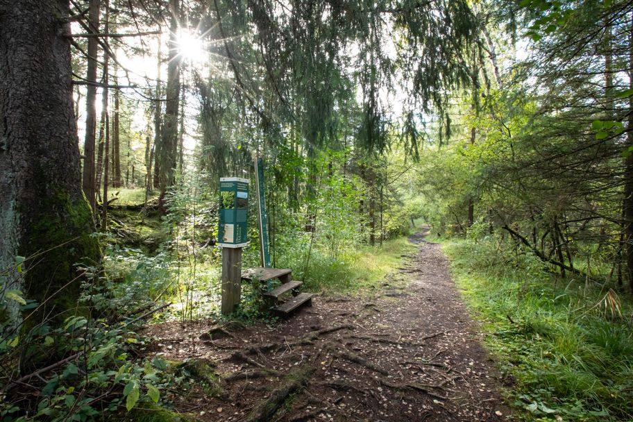 Familienerlebnispfad Burgmoos Kißlegg