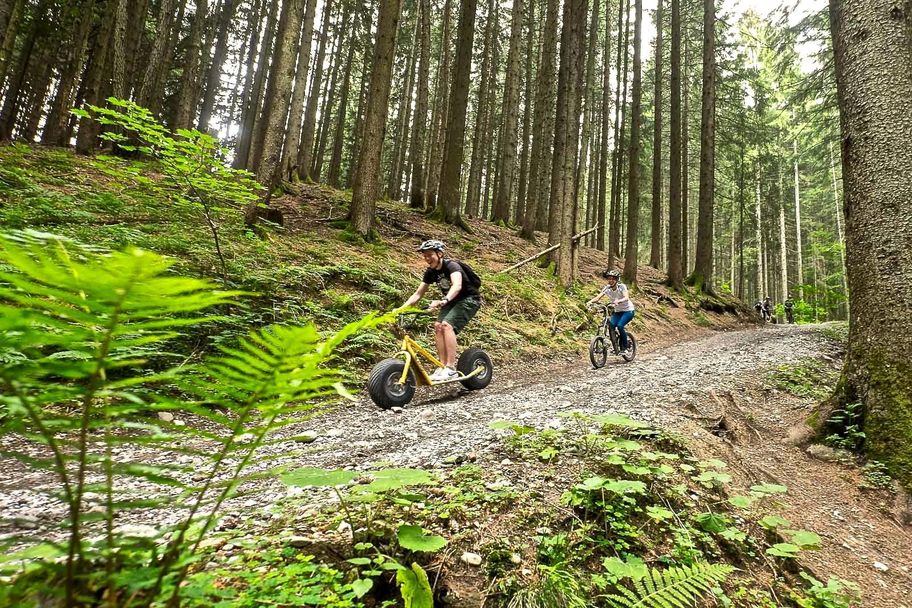 Downhill Roller in Ofterschwang im Allgäu