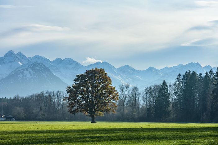 muehle11-ferienwohnungen-allgaeu-familie-1stof8-25