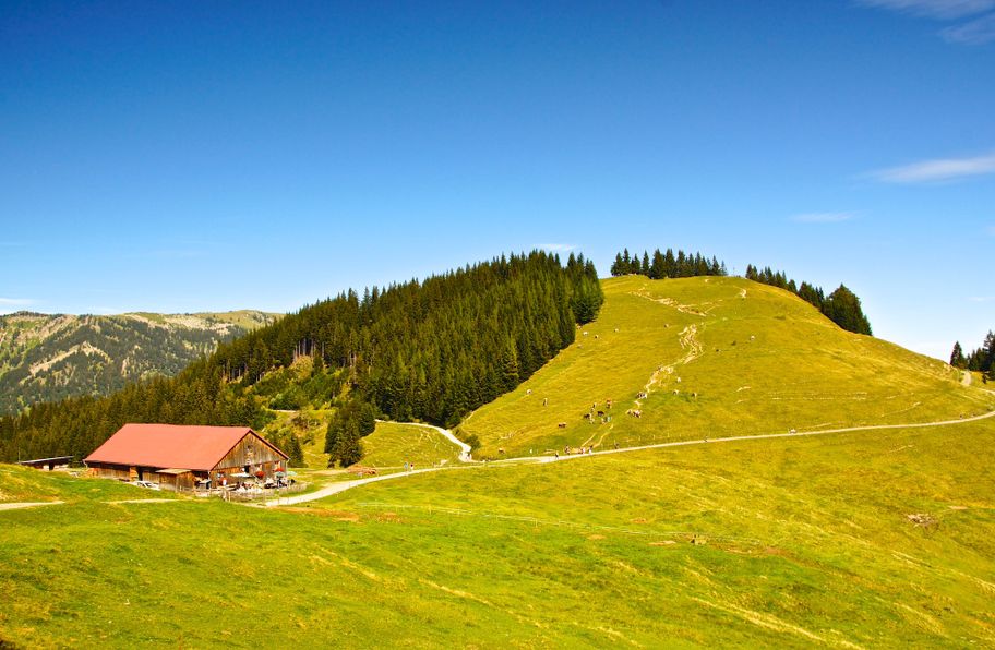Blick auf Alpe Fahnengehren und Ofterschwanger Horn