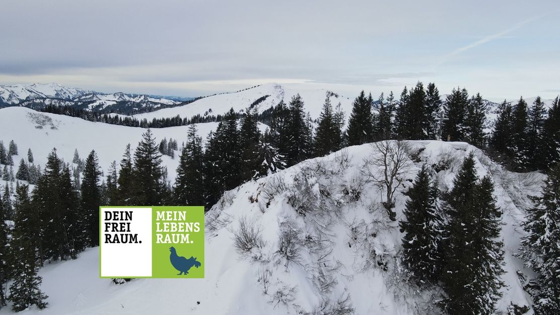 Durch das Bolgental auf den Wannenkopf