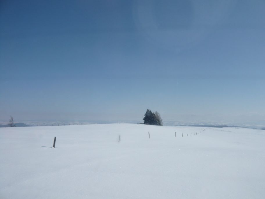 Winterlandschaft an der Loipe Eschach (3)