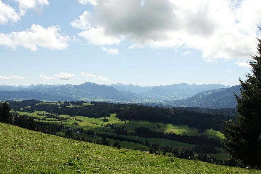 Wilhams-Schrofenweg-Räuberhöhle-Hauchenberg-Jägersteig-Wilhams