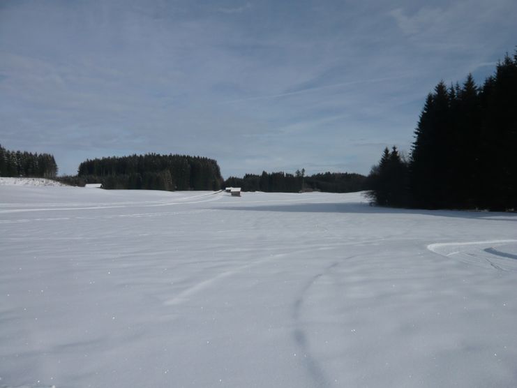 Zwischen Berlebergholz und Dornachmoos