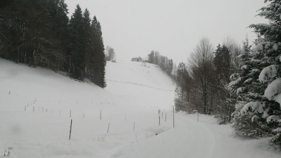 Weidachrunde Fischen