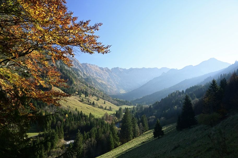 Retterschwanger Tal