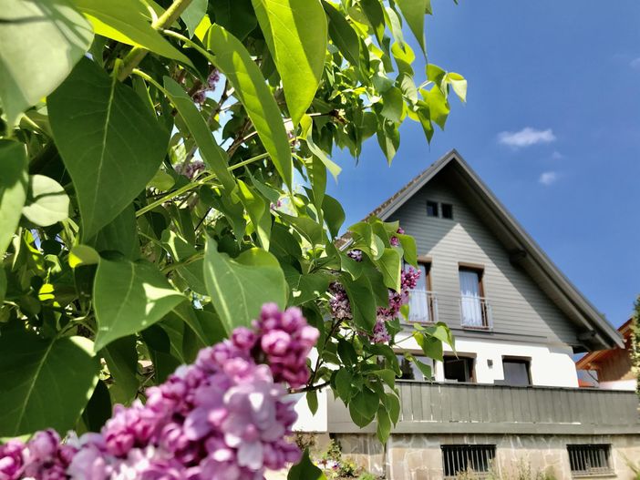 Ferienhaus Mang mit Terrasse