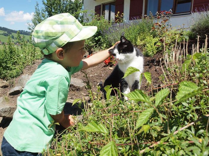 Unsere Katze Bruni ist sehr kinderlieb