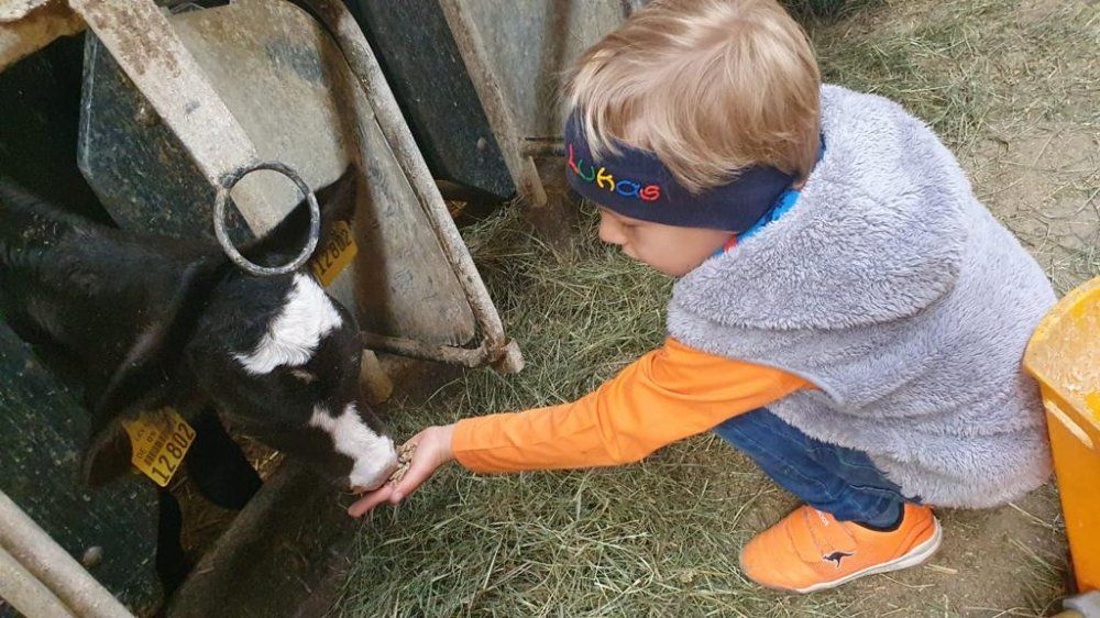 whatsappimage2021-05-21at12.43.3713