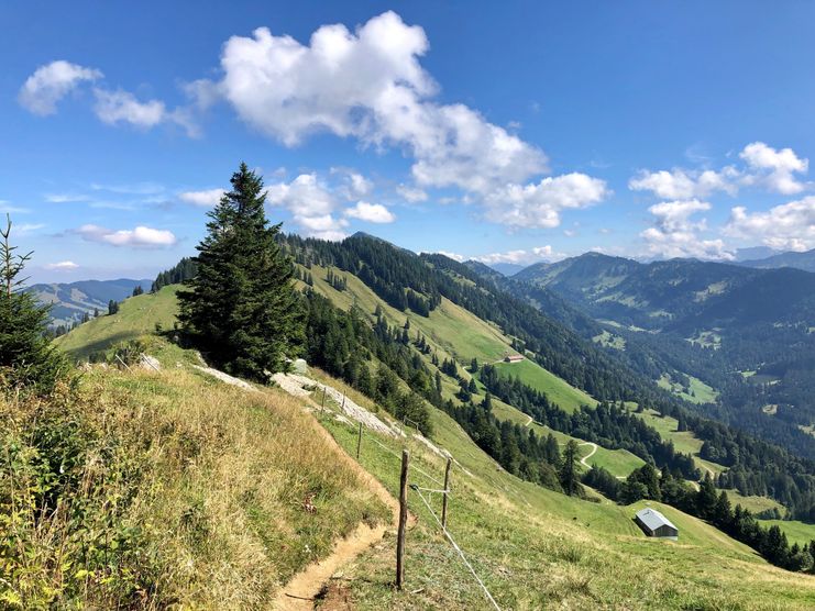 Auf dem Grat zum Falken