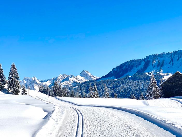 Winterfreuden auf der Loipe