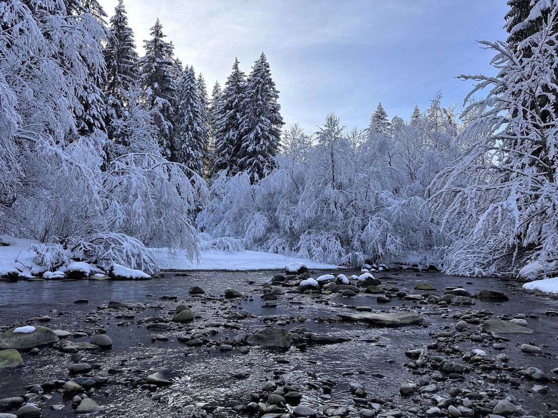 Winterlicher Haldertobel