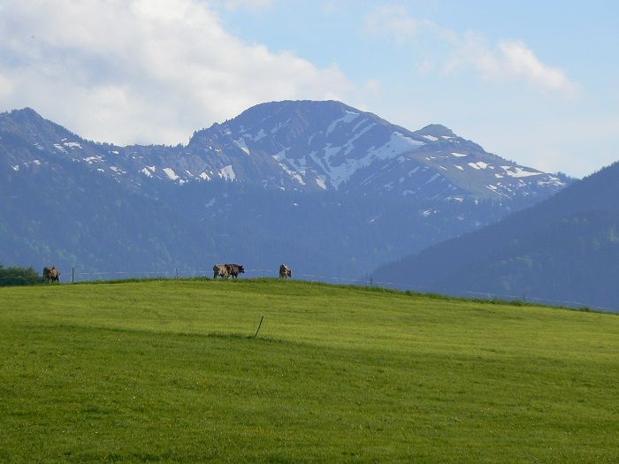Nagelfluhkette