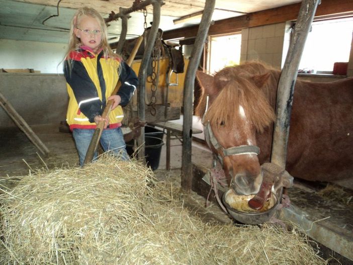 Bei uns im Stall - Landwirtschaft hautnah erleben