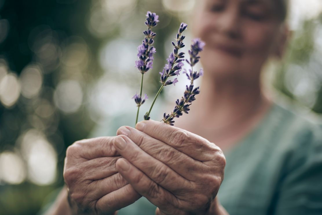 Lavendel aus dem eigenen Garten pflücken @Allgäu GmbH, Marc Oeder