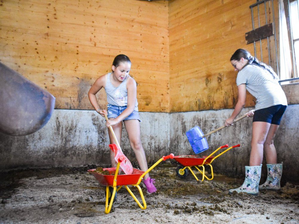 kinderbeimpferdeboxenmisten