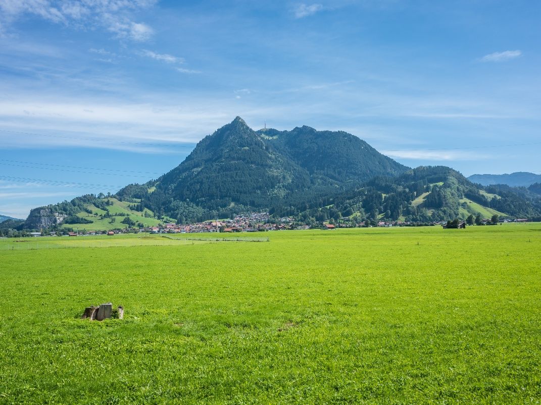 Blick Richtung Burgberg und Grünten