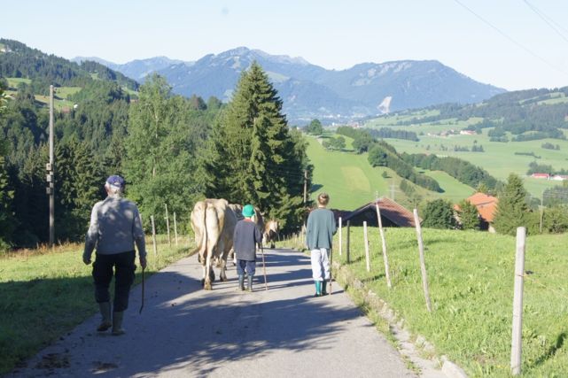 Gern könnt Ihr beim Austreiben helfen