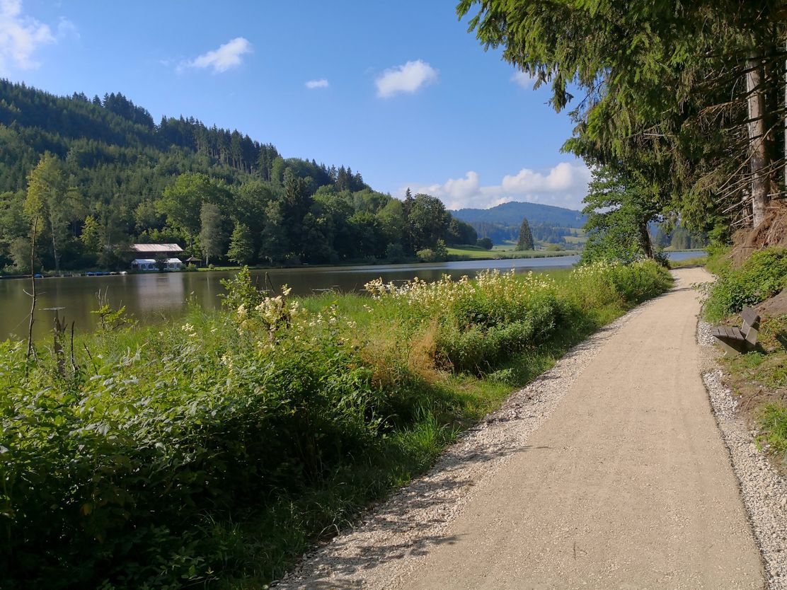 Wandern am Hengelesweiher