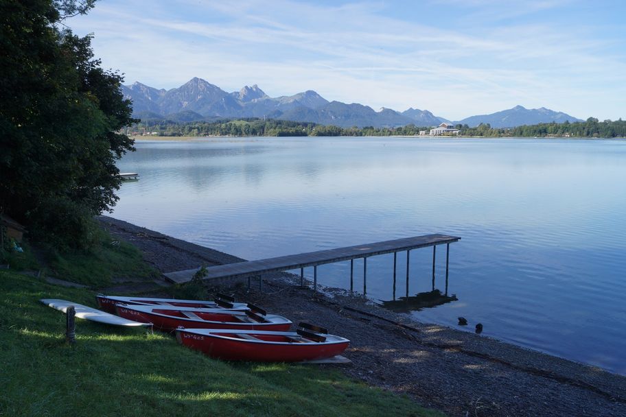 Aussicht auf den Forggensee_Schwangau-Waltenhofen
