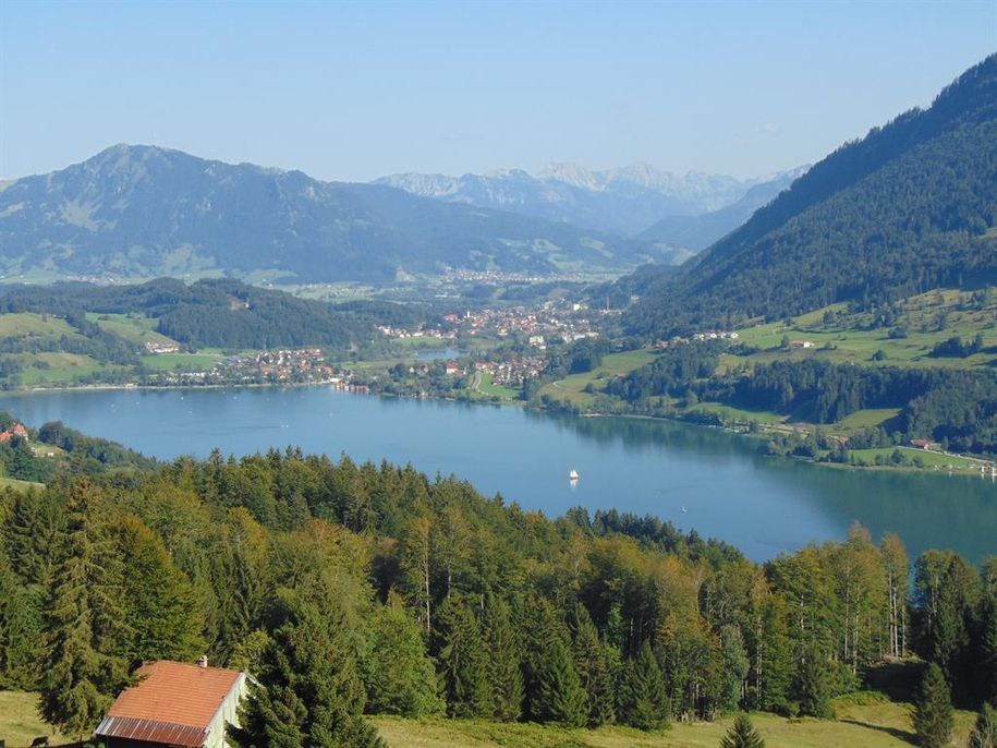 Alpsee von oben