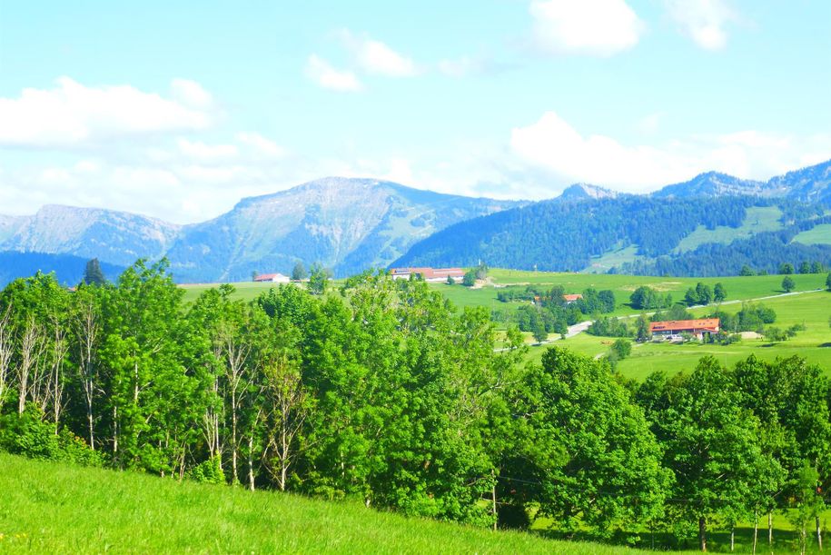 Sommer