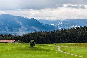 Panorama