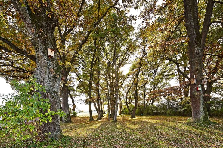 Wanderung zum Waldsee