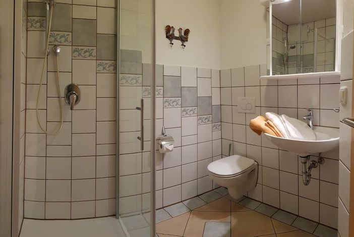 Dusche/WC/Waschbecken/Spiegelschrank