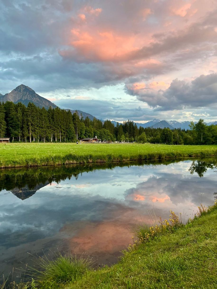 Spiegelung im Grundbach