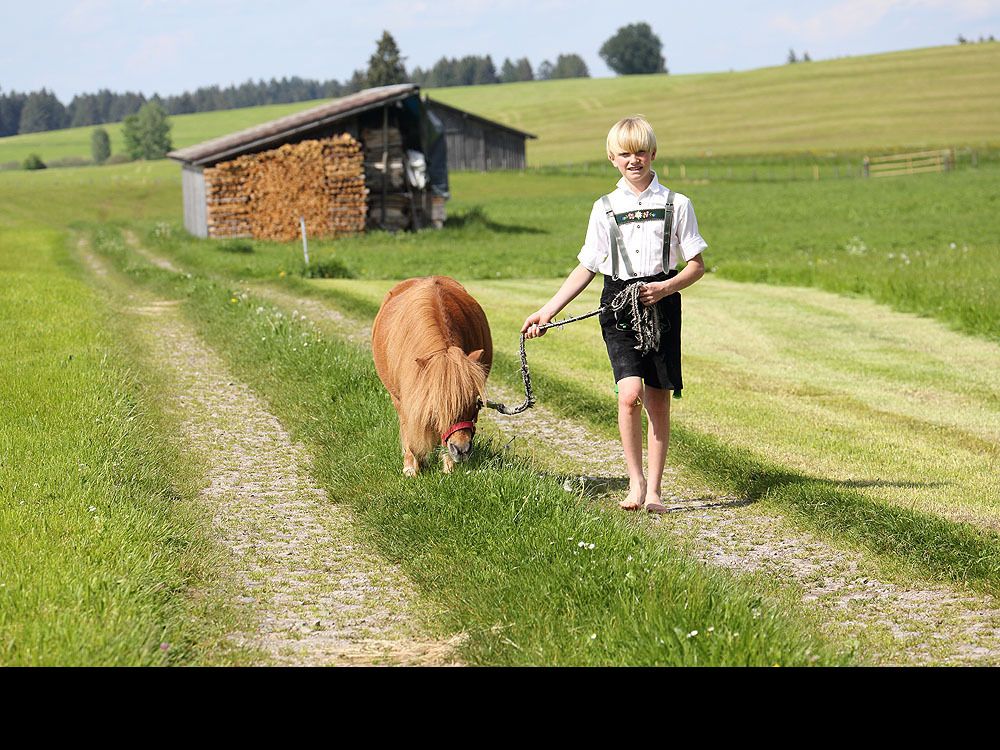 unser Pony Hansi