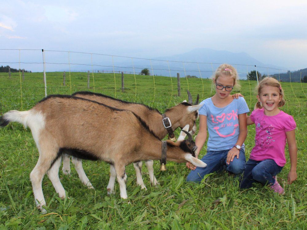 ihr seid ganz schön neugierig