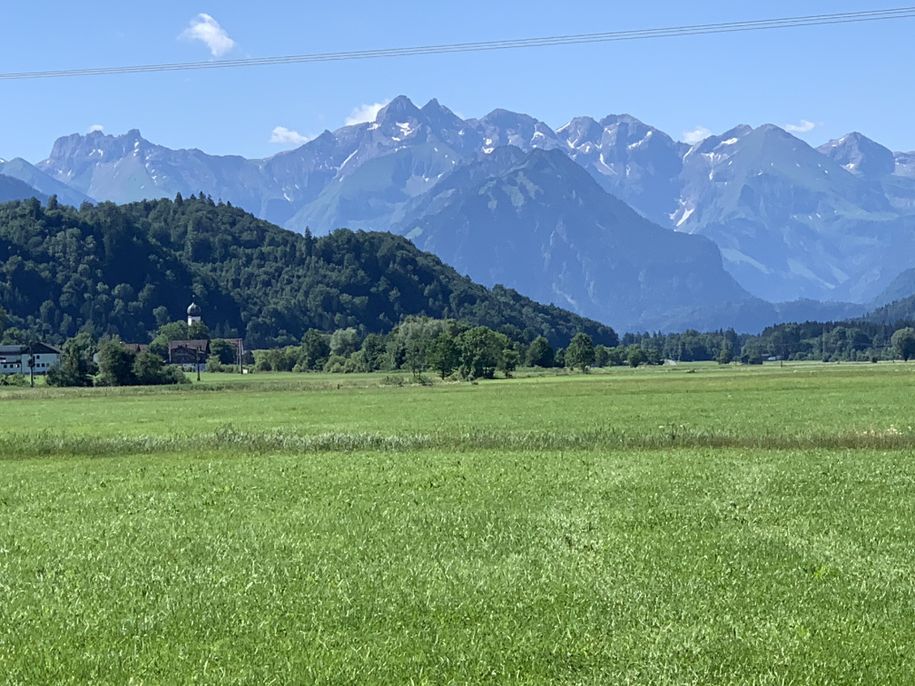 Frühling