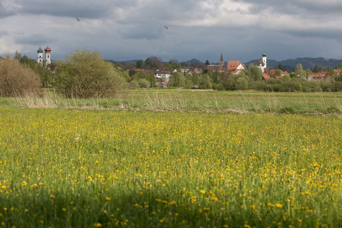 Blick auf Isny von den Bodenmösern