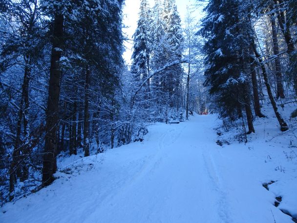 Zustieg durch das Steigbachtal - Naturpark Nagelfluhkette