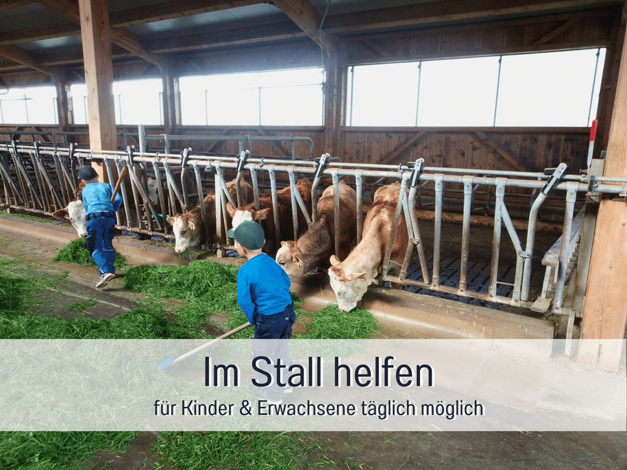 Mithelfen im Stall