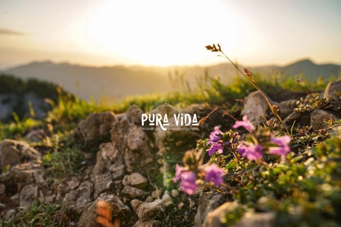 Pura-vida-workation-ferienwohnung-header-002