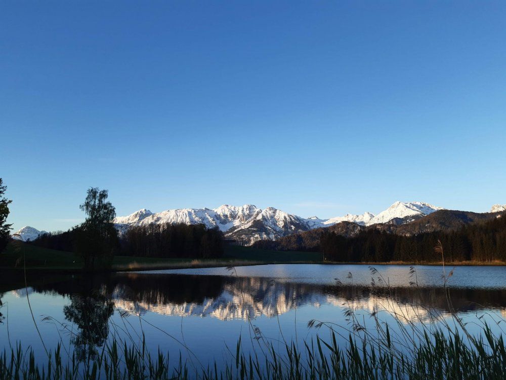 Blick auf das Füssener Jöchle über den Bachweiher