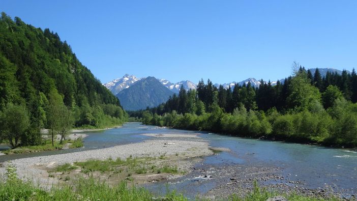 Auwaldsee