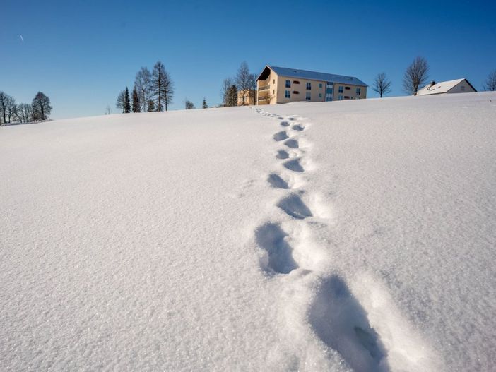 Spuren im Schnee