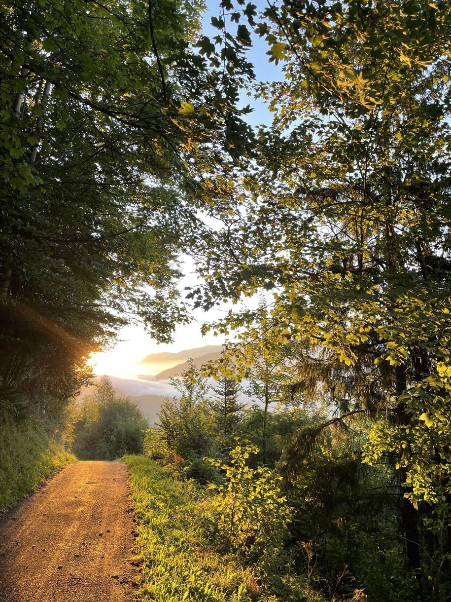 Wanderweg direkt vom Haus weg