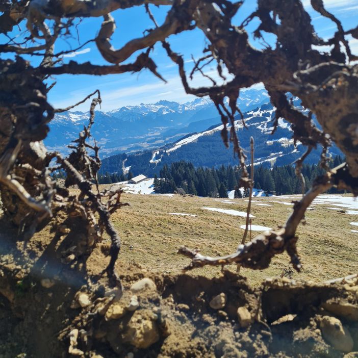 Wanderung am Mittag