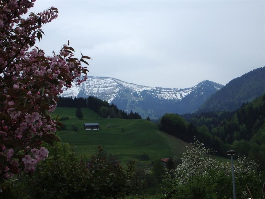 Hochgratblick