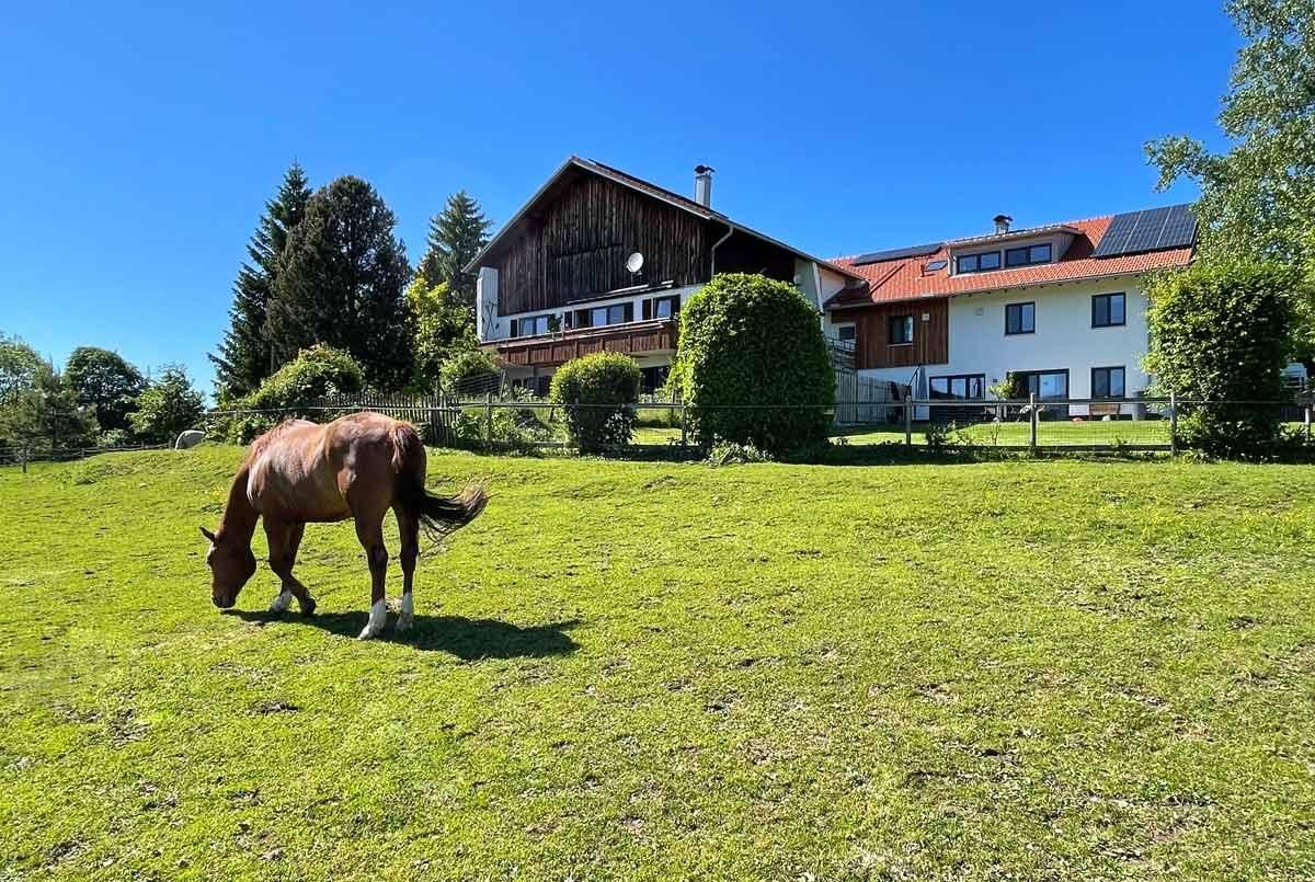 Alpen Panoramahof Rief