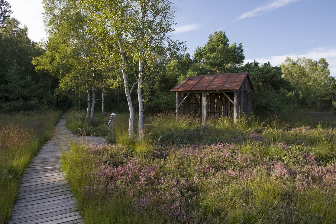 Bad-Wurzacher_Ried_1